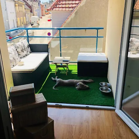 Apartmán Fl'heurt De Au Pied De La Plage, Vue